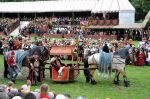 2009_07_12_01658_~0.jpg