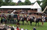2009_07_12_01663_~0.jpg