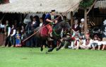 2009_07_12_01875_~0.jpg