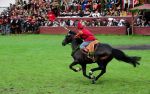 2009_07_12_02366_~0.jpg