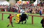 2009_07_12_02748_~0.jpg