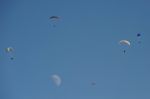 2009_07_29_01829_.jpg