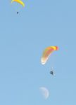 2009_07_29_019000_.jpg