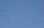 2009_07_29_019160_.jpg