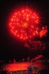 2009_07_29_029140_.jpg