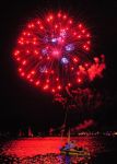 2009_07_29_029170_.jpg