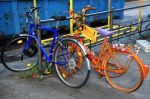2010_08_25_02260.jpg