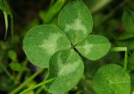 2011_04_25__6892.jpg