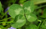 2011_04_25__6897.jpg