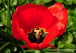 2011_04_25__6976.jpg