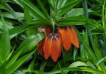 2011_04_25__6993.jpg
