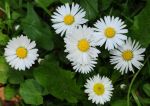 2011_04_25__7081.jpg