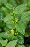 2011_04_25__7103.jpg