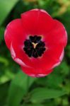 2011_04_25__7123.jpg