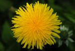 2011_04_25__7143.jpg