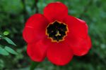 2011_04_25__7175.jpg