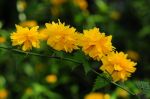 2011_04_25__7227.jpg