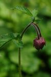 2011_04_25__7268.jpg