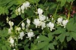 2011_04_28__7885.jpg