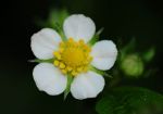 2011_05_02__3876.jpg