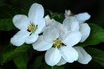 2011_05_02__3904.jpg