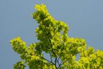 2011_05_04__4254.jpg
