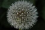 2011_05_04__4272.jpg