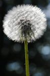 2011_05_04__4310.jpg