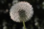2011_05_04__4371.jpg