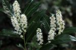 2011_05_07__8045.jpg