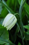 2011_05_08__8892.jpg