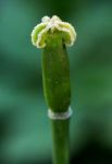 2011_05_09__9043.jpg