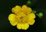 2011_05_09__9056.jpg