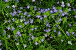 2011_05_09__9132.jpg