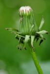 2011_05_10__9244.jpg