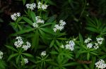 2011_05_10__9256.jpg