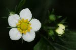 2011_05_10__9258.jpg