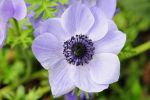 2011_05_11__0452.jpg