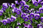 2011_05_11__0539.jpg