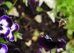 2011_05_11__0548.jpg