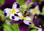 2011_05_11__0555.jpg