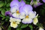 2011_05_11__0560.jpg