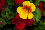 2011_05_11__0571.jpg