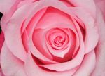 2011_05_11__0604.jpg