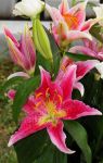 2011_05_11__0619.jpg
