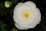 2011_05_11__0628.jpg
