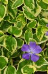 2011_05_11__0661.jpg