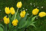 2011_05_11__0683.jpg