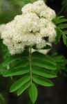 2011_05_11__0728.jpg