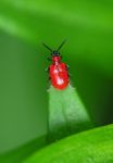 2011_05_11__0791.jpg